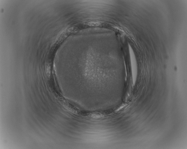 X0000076080697200610152253