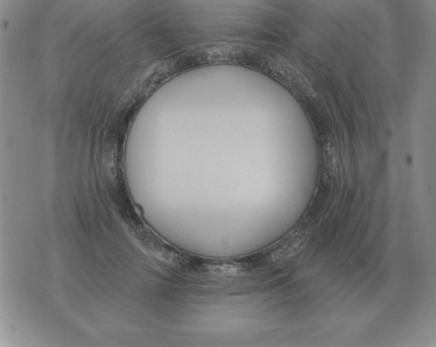 X0000076080698200610152253