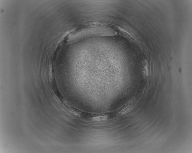 X0000076080700200610152253