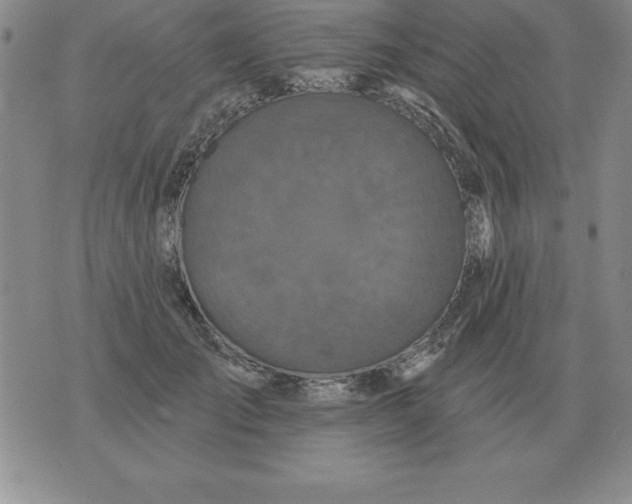 X0000076080701200610152253