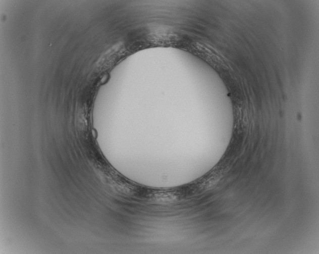 X0000076080702200610152253