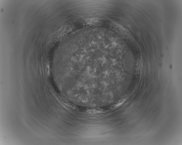 X0000076080703200610152253