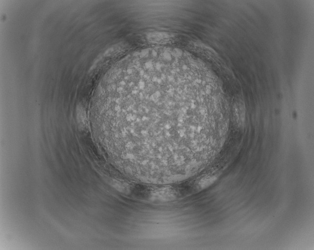 X0000076080705200610152253