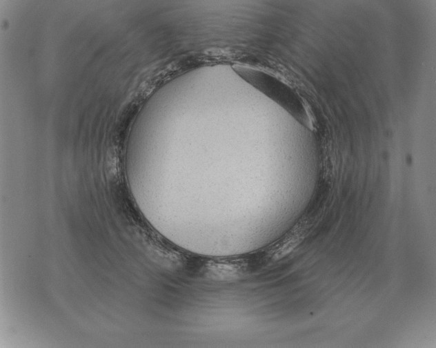 X0000076080706200610152253