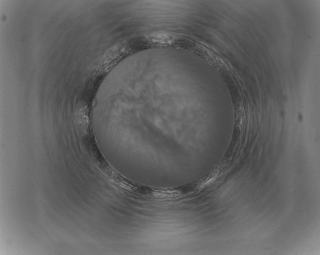 X0000076080707200610152253