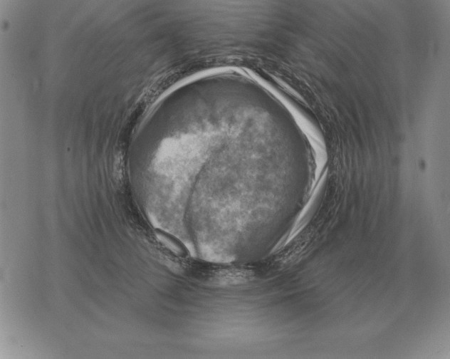 X0000076080708200610152253