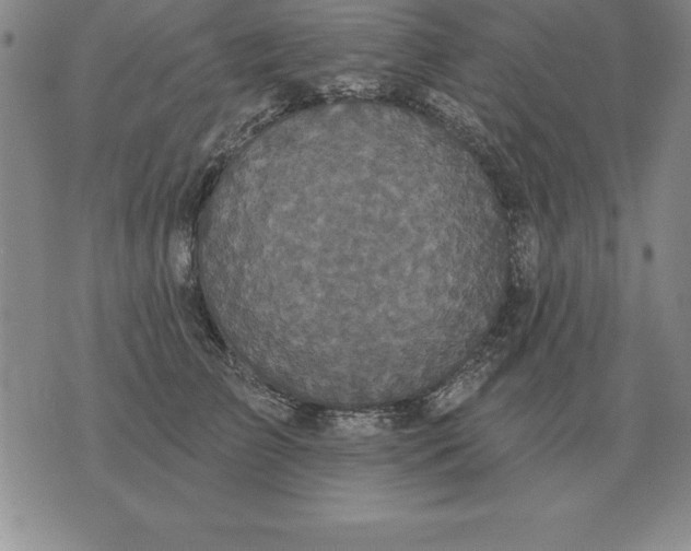 X0000076080709200610152253