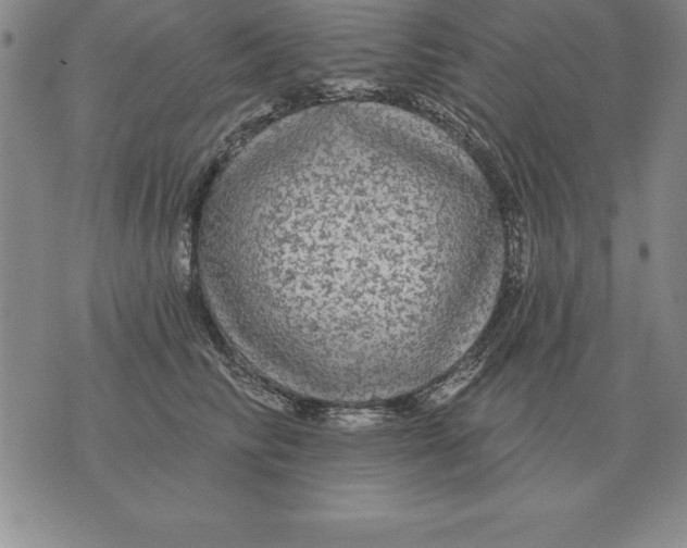 X0000076080710200610152253