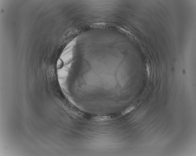 X0000076080711200610152253