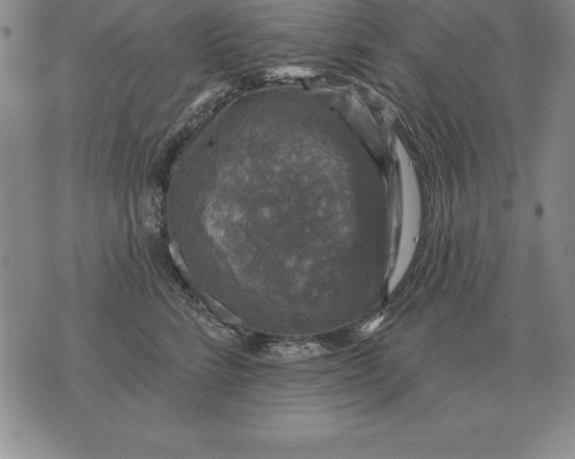 X0000076080712200610152253