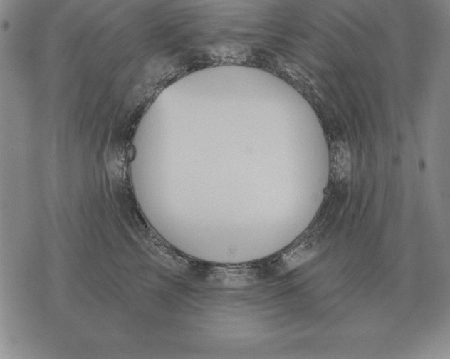 X0000076080713200610152253