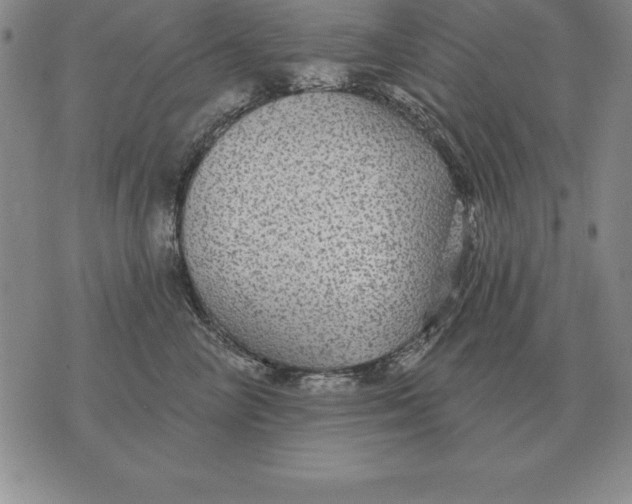 X0000076080714200610152253