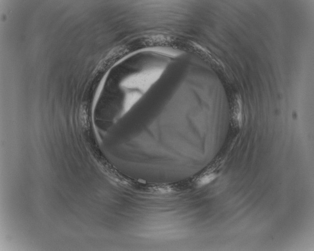 X0000076080715200610152253