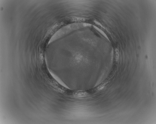 X0000076080716200610152253