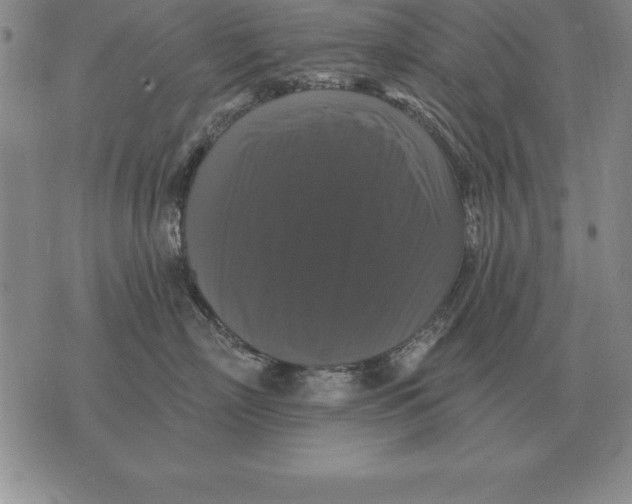 X0000076080718200610152253