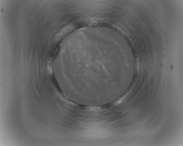 X0000076080719200610152252