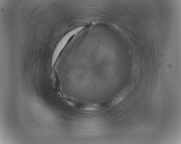 X0000076080720200610152252