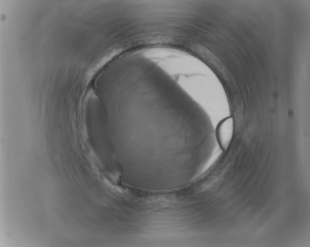 X0000076080721200610152252