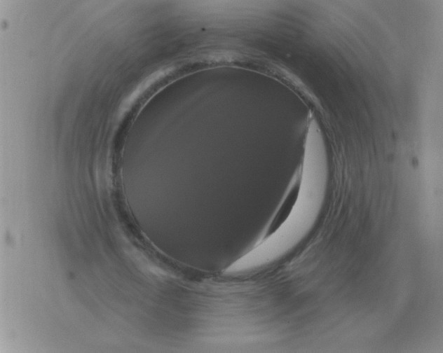 X0000076080722200610152252