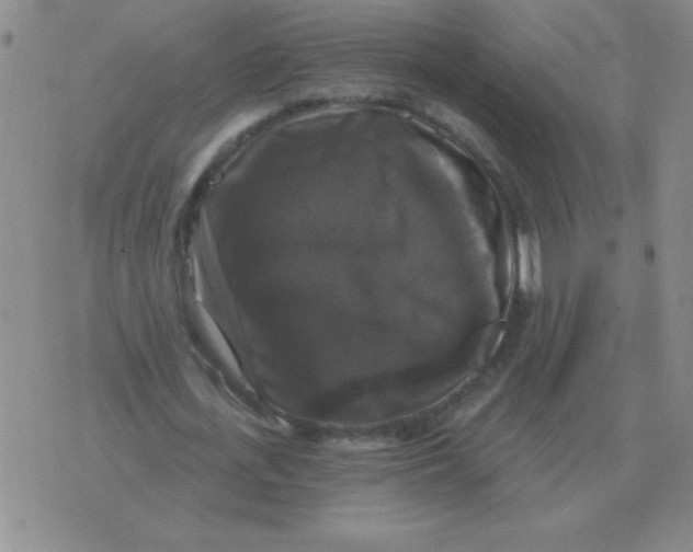 X0000076080723200610152252