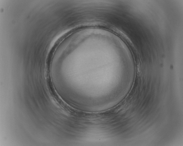 X0000076080724200610152252