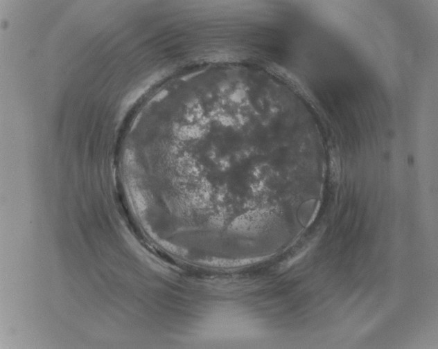 X0000076080725200610152252