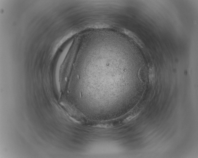 X0000076080727200610152252