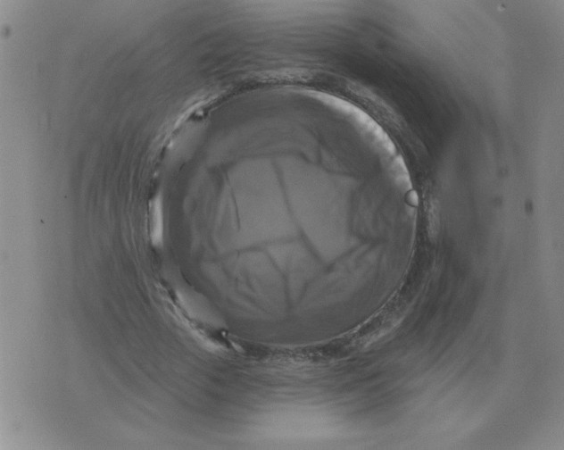 X0000076080729200610152252