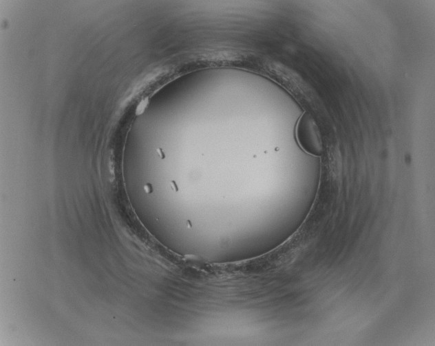 X0000076080731200610152252