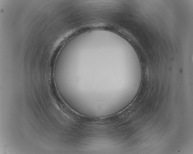 X0000076080732200610152252