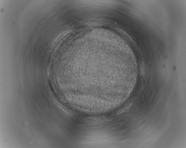 X0000076080733200610152252