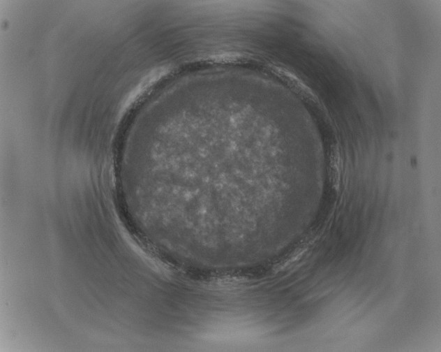 X0000076080734200610152252