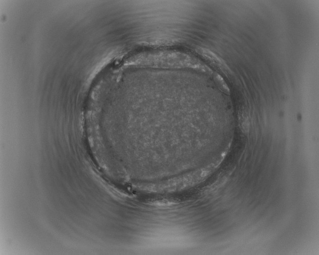 X0000076080735200610152252