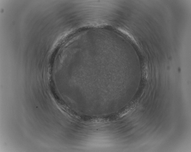 X0000076080736200610152252