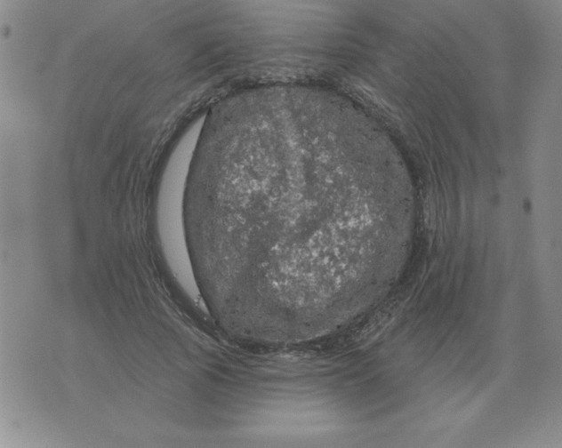 X0000076080737200610152252