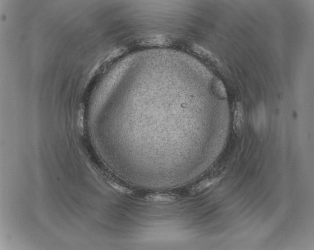 X0000076080739200610152252