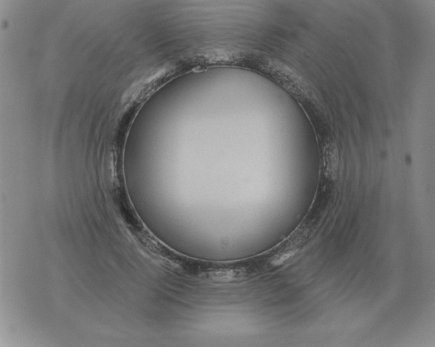 X0000076080740200610152252