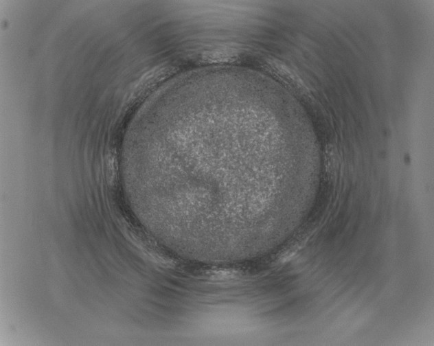 X0000076080741200610152252