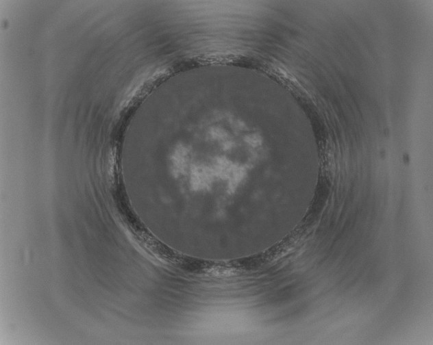 X0000076080742200610152252