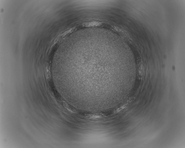 X0000076080743200610152252