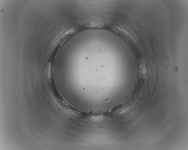 X0000076080744200610152252