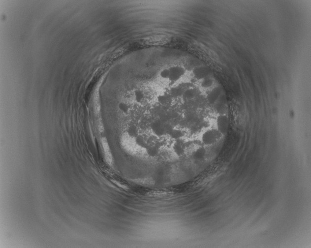 X0000076080745200610152252