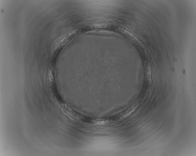 X0000076080746200610152252