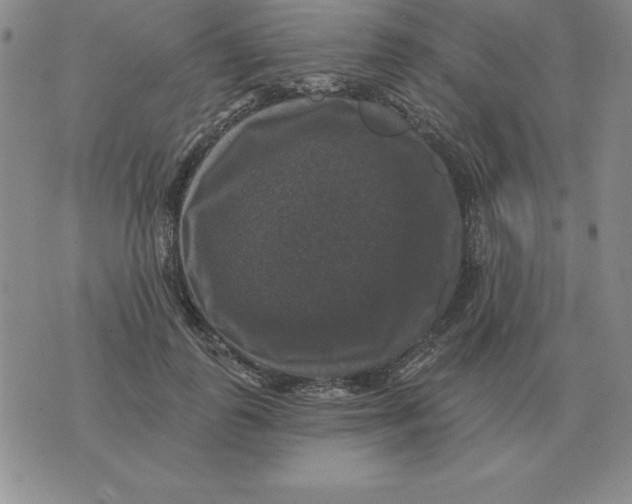 X0000076080747200610152252