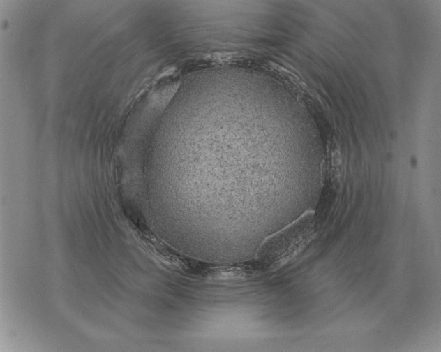 X0000076080750200610152252