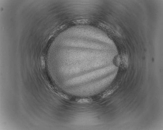 X0000076080751200610152252