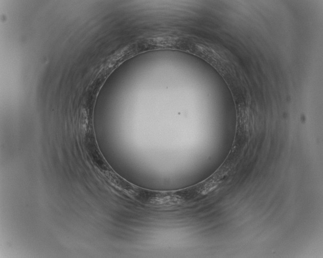 X0000076080752200610152252