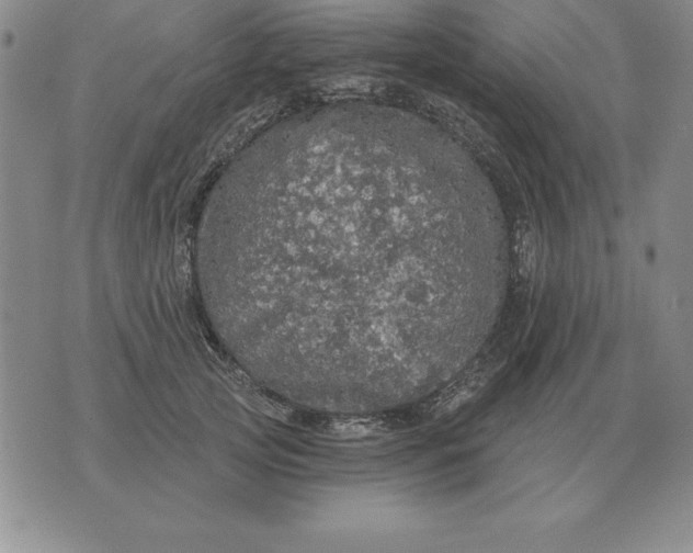 X0000076080753200610152252