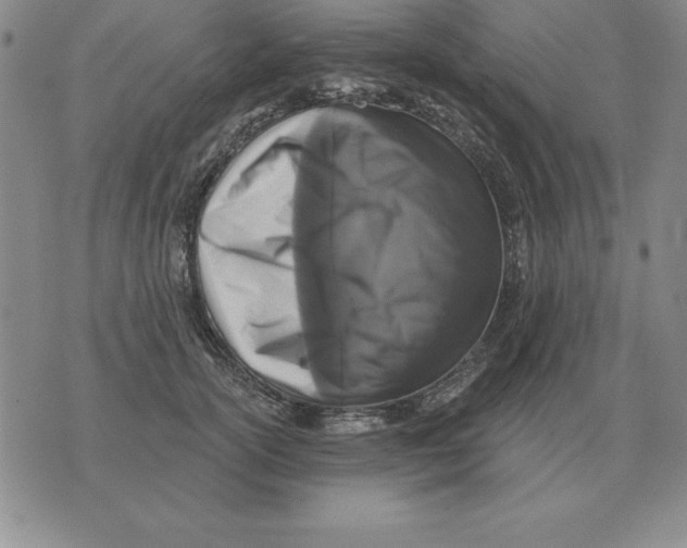 X0000076080754200610152252