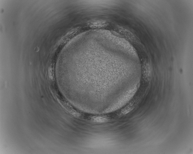 X0000076080755200610152252